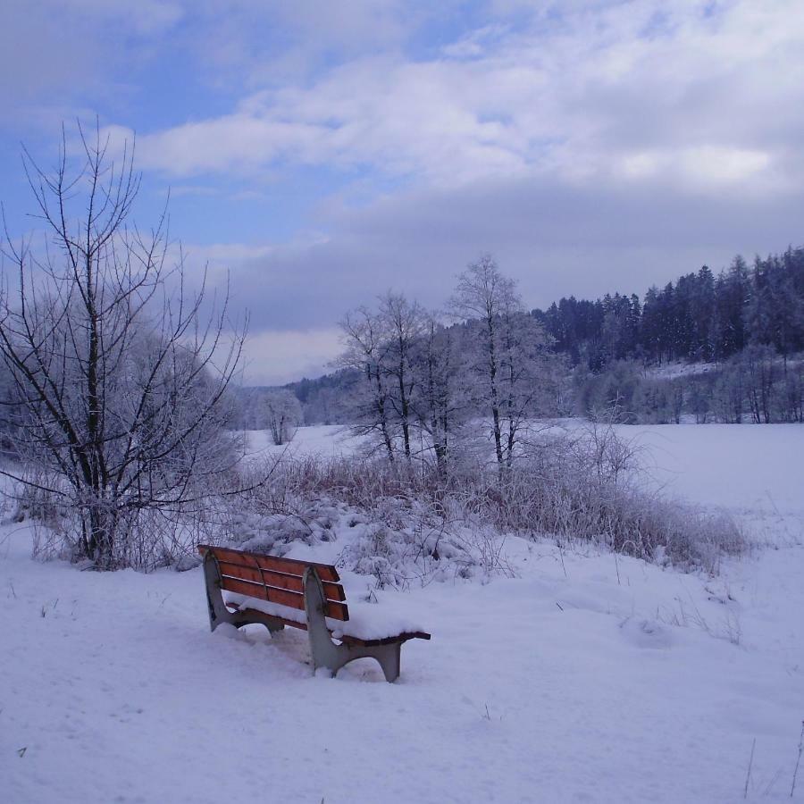 Feriendomizil-Sauerland Fewo 1 Медебах Екстер'єр фото